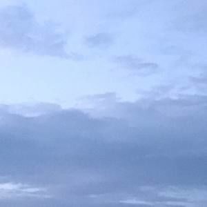 Meet your Posher, Malak